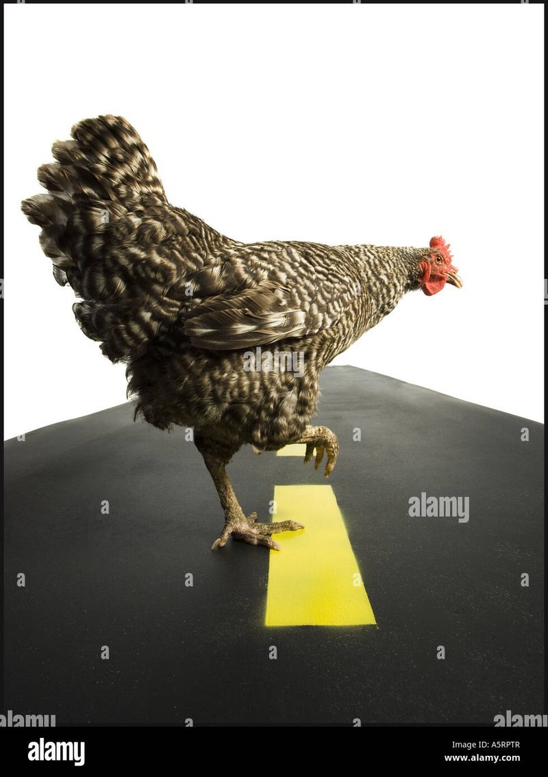 Chicken road oficial in Spain